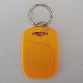 EMID(TK4100/EM4100)125KHz LF proximity RFID Key Fob tag