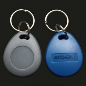 Gray-EMID(TK4100/EM4100)125KHz LF proximity RFID Key Fob tag